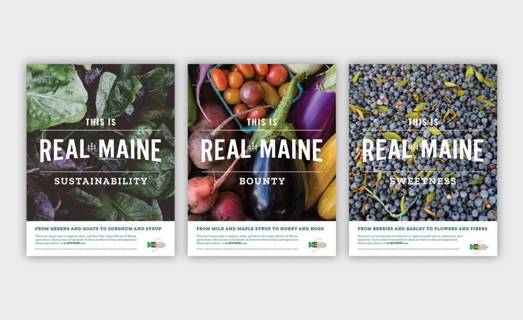 Series of three Real Maine ads featuring different products and themes