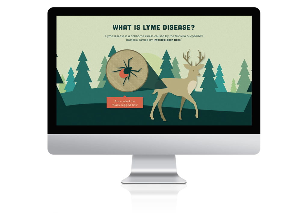 Lyme Disease Interactive Website Deer Infographic